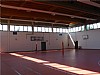 immagine Palestra Liceo Morandi