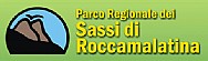 Immagine corrente
