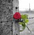 Giorno della memoria